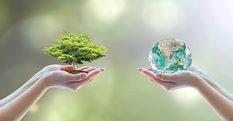 القيم الإسلامية